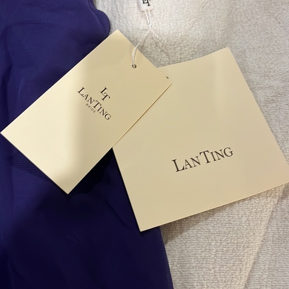 Regency Formal floor length gown - Picture 10 of 14